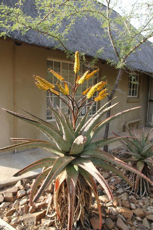 Treetops Marloth Park Exterior foto